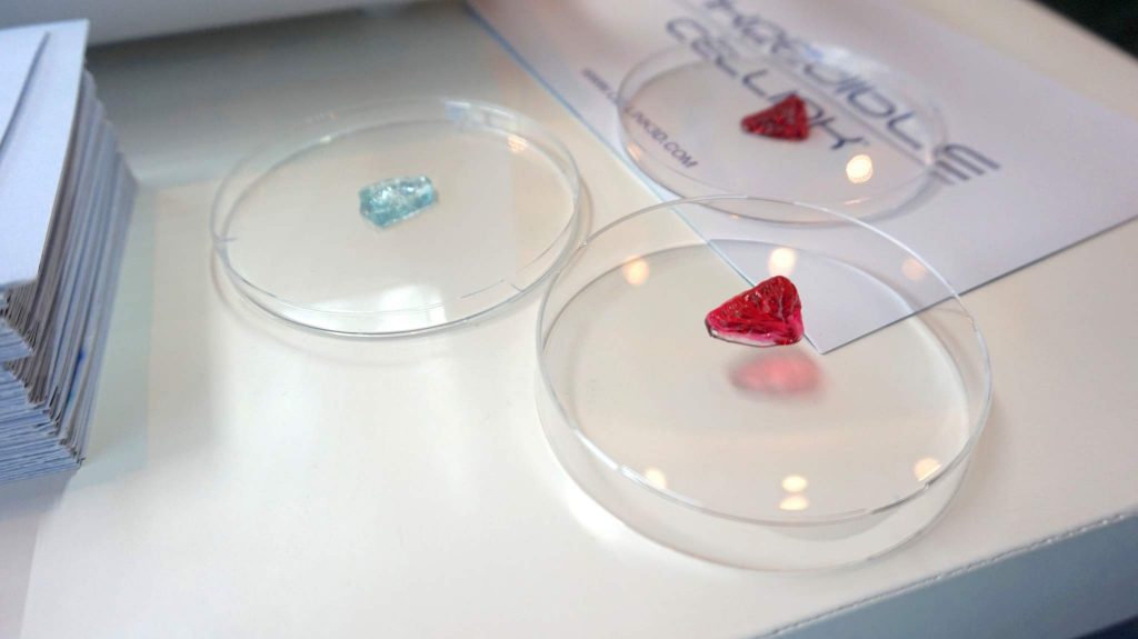 迷你3D印花鼻子（粉红色）和耳凝胶中的耳朵（蓝色）从Cellink的水凝胶中。