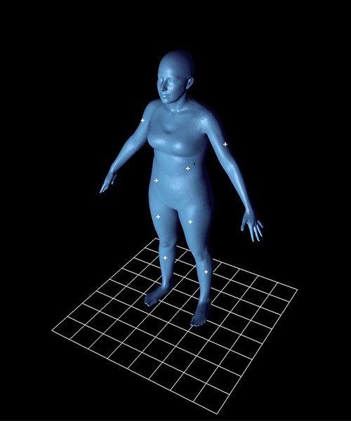 特克塞尔的人体参数模型，3D数字化身。通过特塞尔绵羊形象。