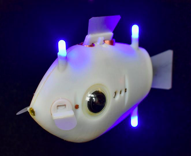 哈佛大学的科学家们以鱼为灵感设计的机器人配备了摄像头和蓝色led，帮助它们在水下导航。照片由自组织系统研究小组提供。