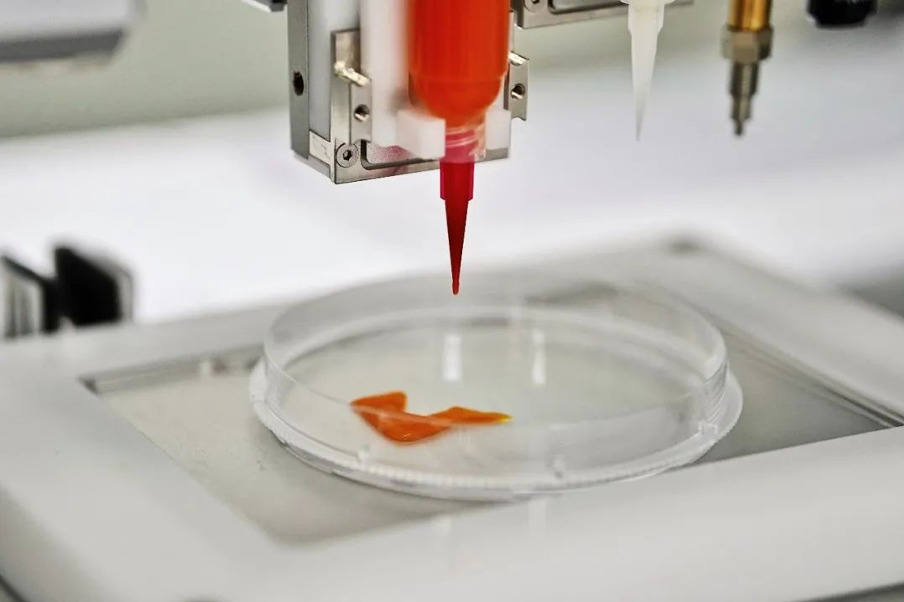 CellX开发的3D打印细胞肉原型。通过CellX照片。