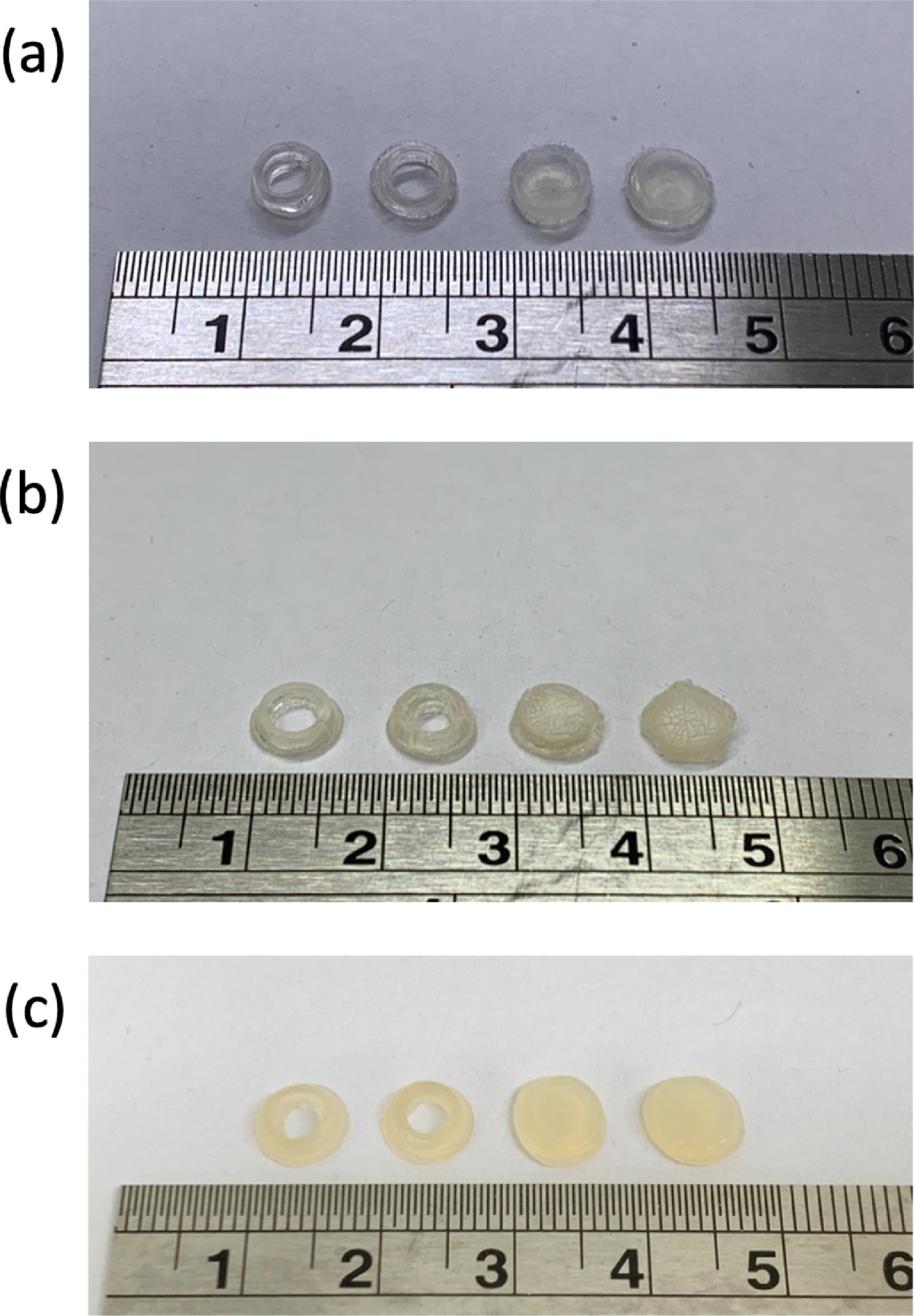 两个圆环和两个圆筒3d印刷的printzymes。通过水研究期刊图像。