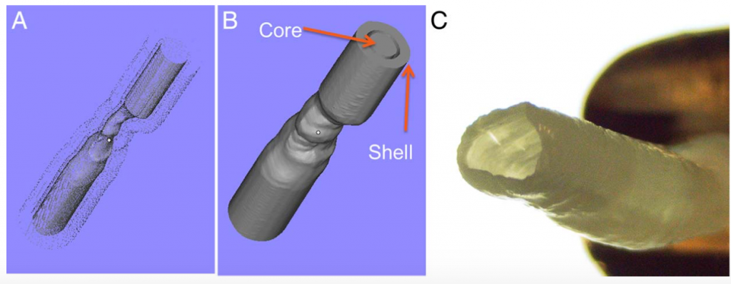 数字模型（左）和ICAD动脉的水凝胶模型。图通过Chueh，Ju-Yu等。
