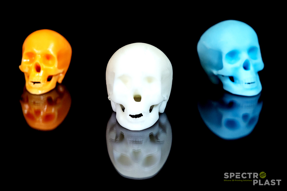 彩色，3D打印头骨。照片通过Spectroploplast
