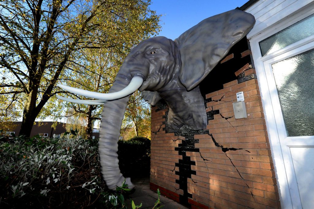 设计11.5英尺x 6.56英尺的3D打印非洲大象。通过WhatTheyThink照片