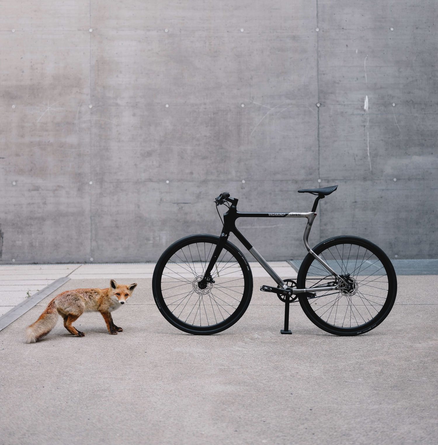 The Urwahn x Vagabund 3D printed bike next to its inspiration - the fox. Photo via Urwahn/Vagabund Moto.