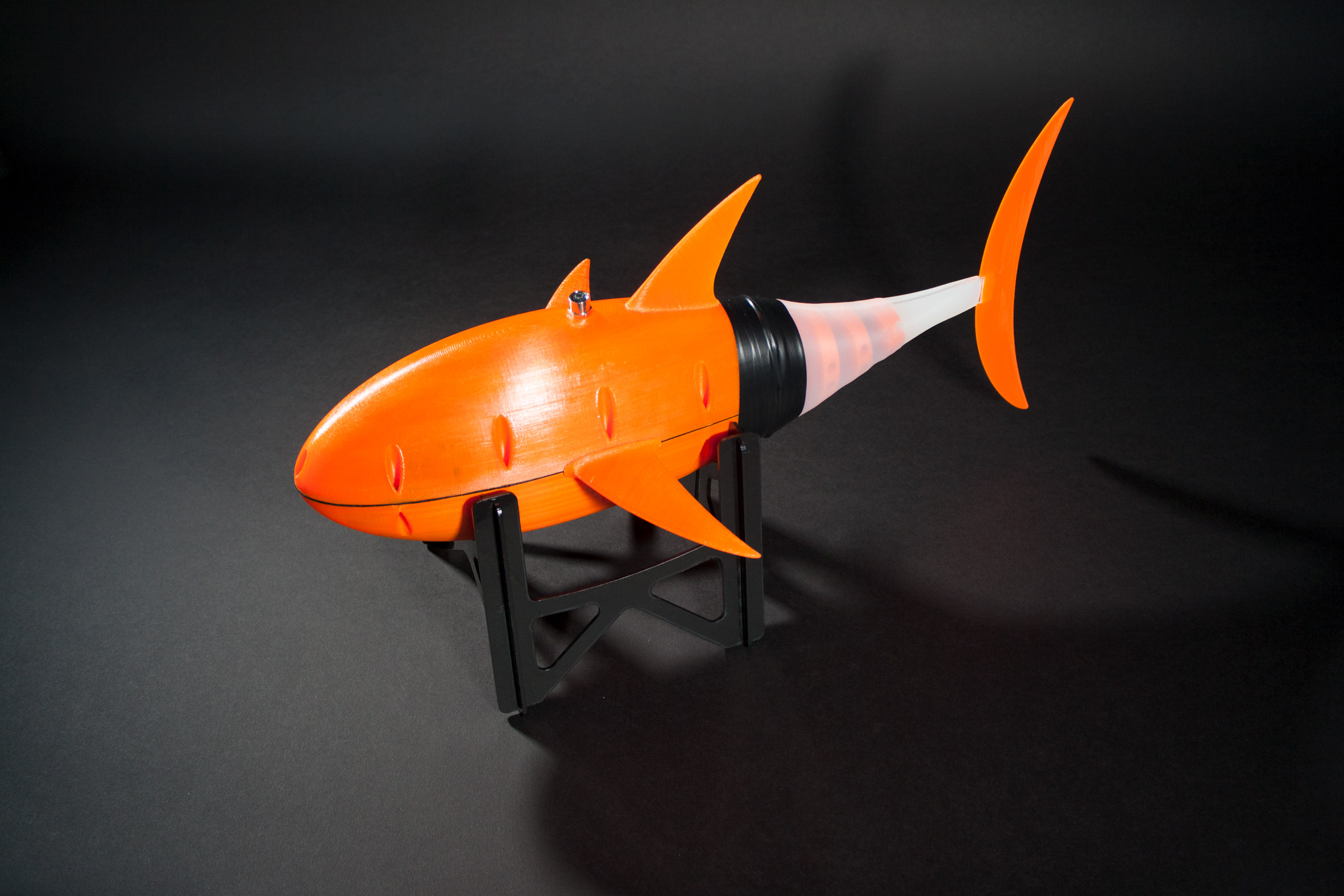 3D打印的机器人鱼。通过Sander Van Den Berg的照片。