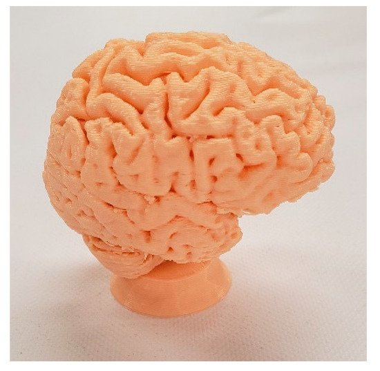 3D打印人脑模型学习辅助工具。图片由Vaclav Krmela/MyMiniFactory提供。