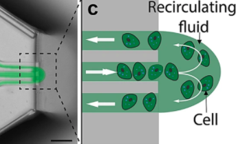 Biopixlar的微流控喷嘴（如图所示）允许团队对细胞进行再循环，从而使细胞在测试过程中达到高精度。图片通过科学报告杂志。