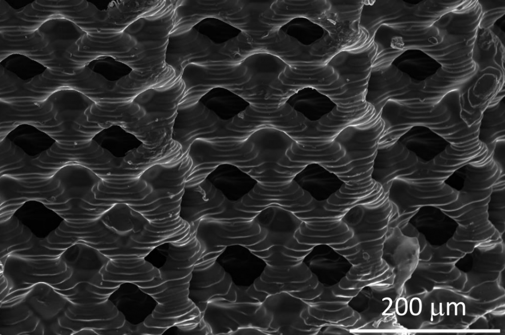 3D打印的碳电极层的特写。通过加州理工学院形象。