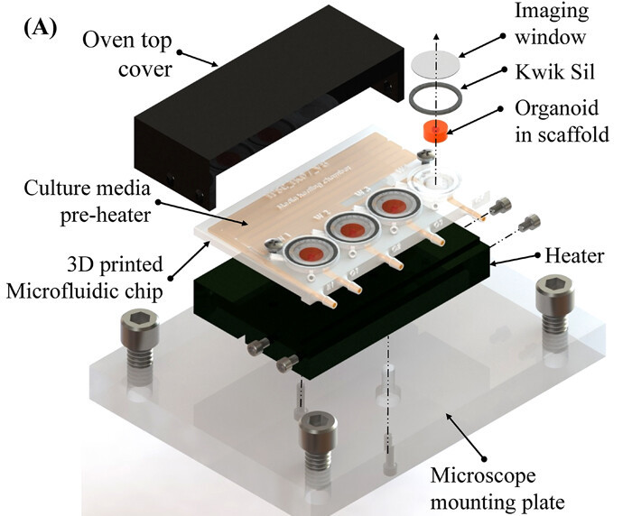 A schematic of the scientists' 3D printed bioreactor.