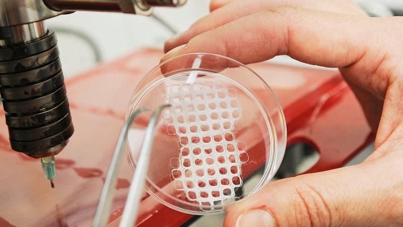 AI and machine learning is being integrated into a MEW 3D printer to produce implants for regenerative medicine applications. Photo via QUT.