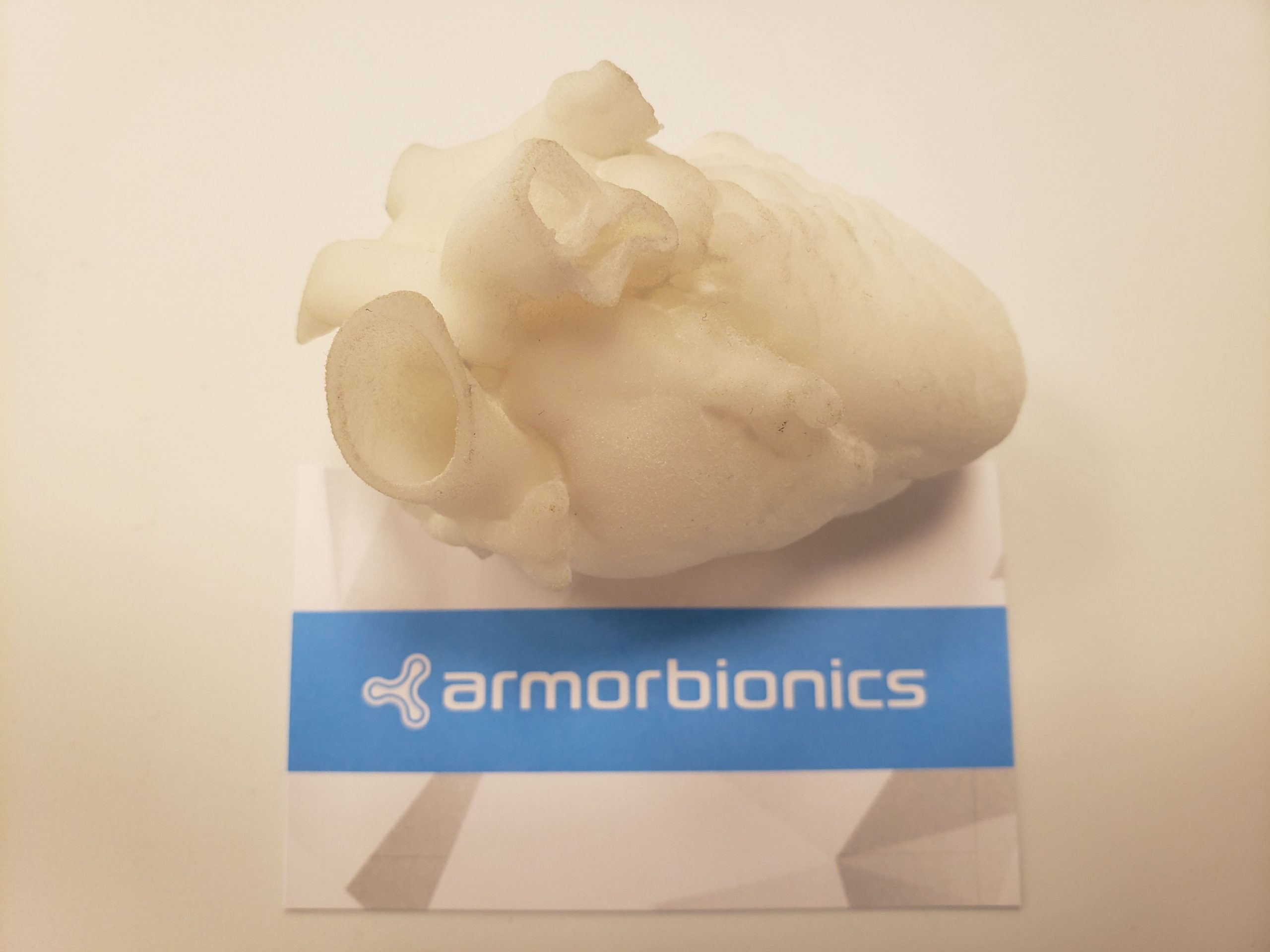 3D打印心脏模型。照片通过盔甲仿生学。