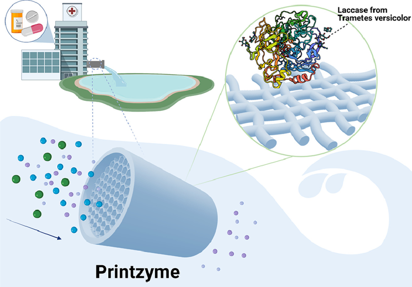 研究人员的Printzyme设备可以从水中除去药物。通过水研究期刊图像。