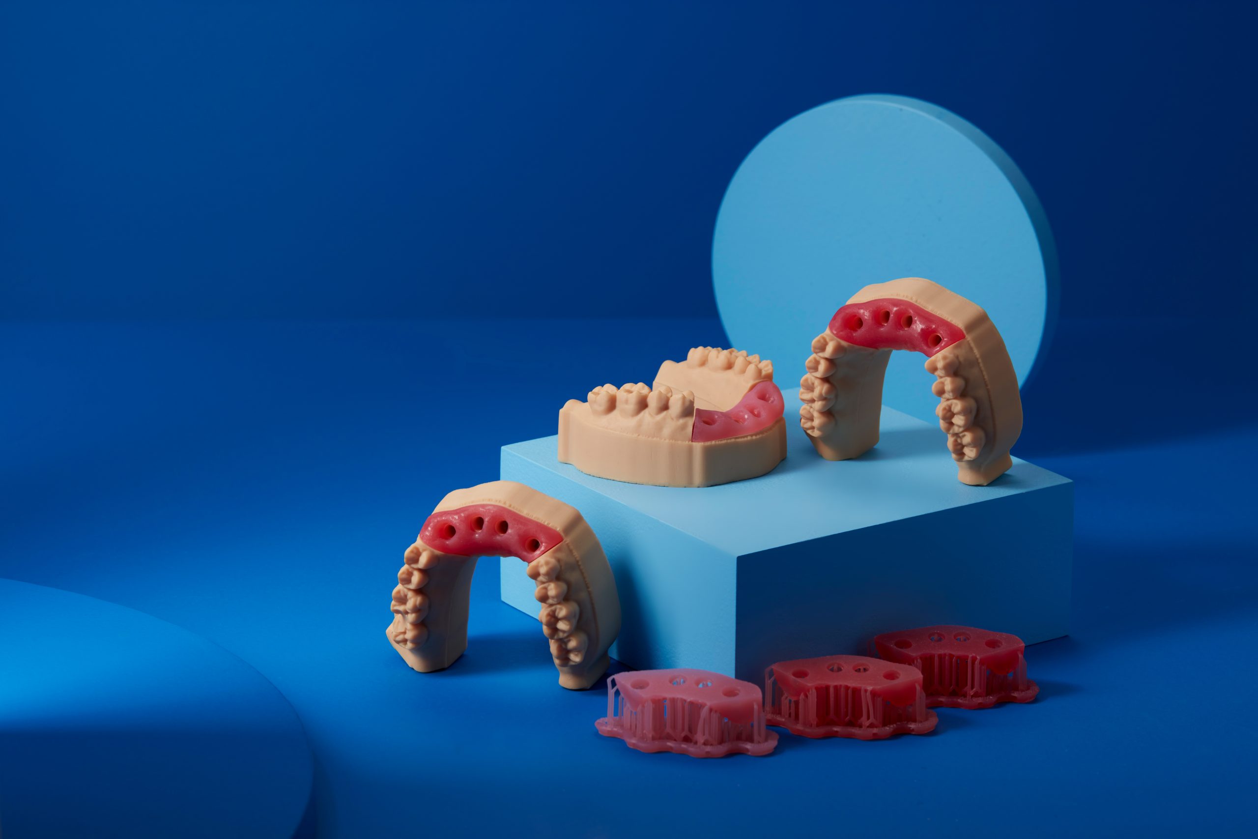 软组织牙科模型3D由FormLabs打印。通过formlabs的照片。
