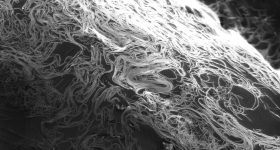 在赖斯大学开发的溶剂时，在此显微镜图像中看到的意大利面条般的碳纳米管缠结将不再是一个问题。图片通过帕斯奎利研究小组/赖斯大学。