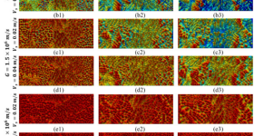 The CFD-simulated dendrite structures. Image via Tsinghua University.